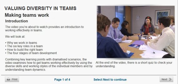 valuing diversity in teams online training