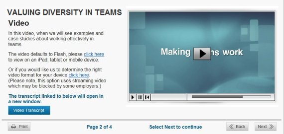 valuing diversity in teams elearning